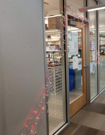 Lab Holiday Decorations (12/2/2021)