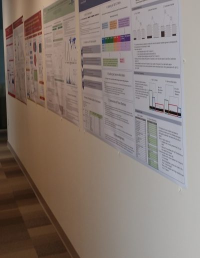 Posters in our Lab! - April 20, 2022