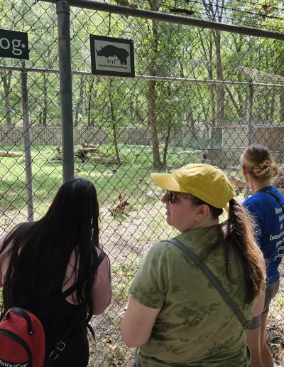 Endangered Wolf Center Lab Outing (September 8, 2023)